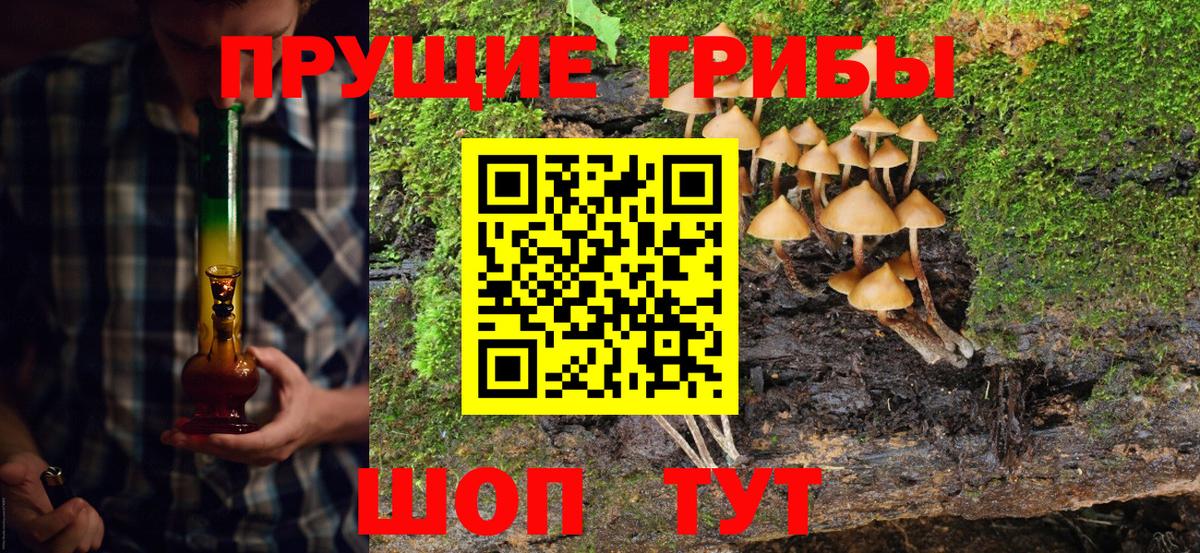 Богородск  Галлюциногенные грибы ЛСД  Галлюциногенные грибы прущие грибы  цены наркотик  Вход с VPN 